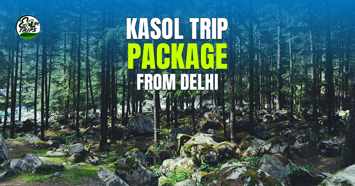 Kasol Travel Guide - Things to Do and Places to Visit in Kasol